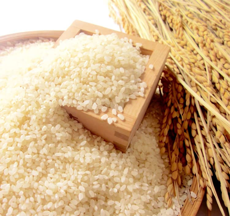 Thumbnail: [100% Grown in Japan, Iwate Prefecture] Superior Akitakomachi Rice