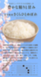 Thumbnail: Sakura Hitomebore Short Grain White Sushi Rice 純情米いわて 岩手県産