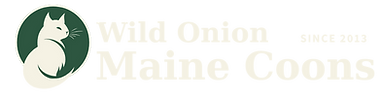 Wild Onion Maine Coons Logo