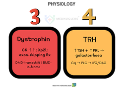 PHYSIO-2