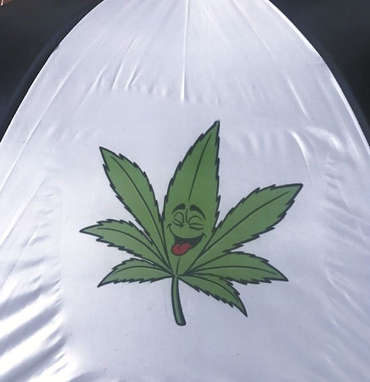 Thumbnail: Custom Umbrella