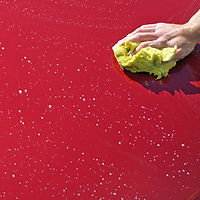 Fleet Washing