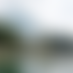 #专栏 | 放慢脚步，也是一种高级