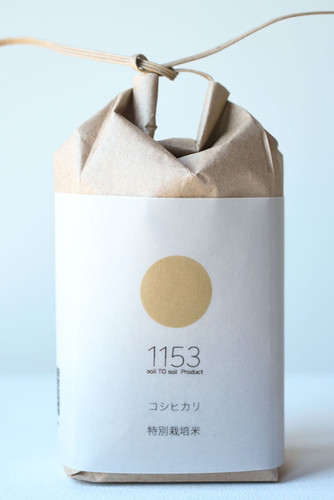 新米［特別栽培米］令和6年度 新潟県産コシヒカリ 10kg | 1153