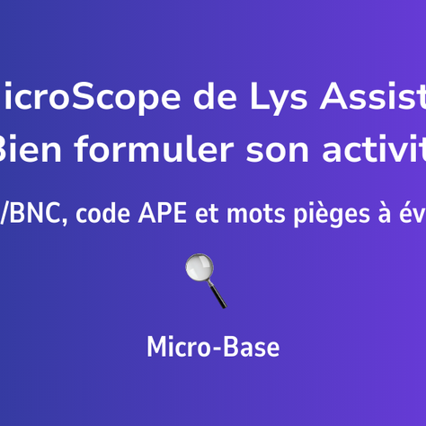 MicroScope #13 - Bien formuler son activité : BIC/BNC, code APE et mots pièges à éviter