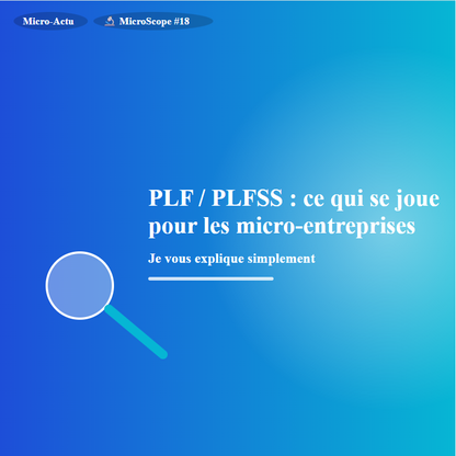 MicroScope #18 - Budget 2026 : PLF / PLFSS, parcours et impact pour micro-entreprises