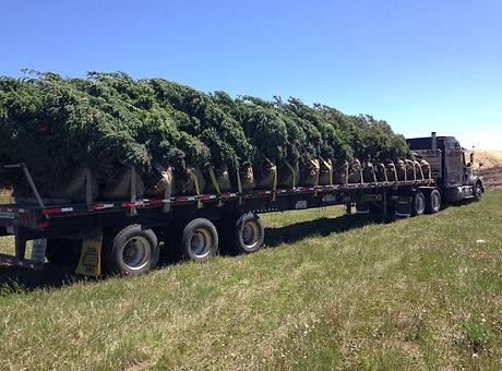 Semi #1 Delivery.JPG
