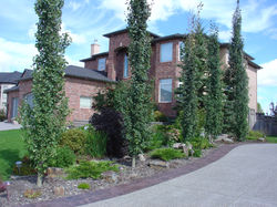 The side of driveway