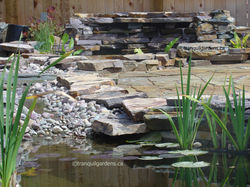 A Custom Pond Network