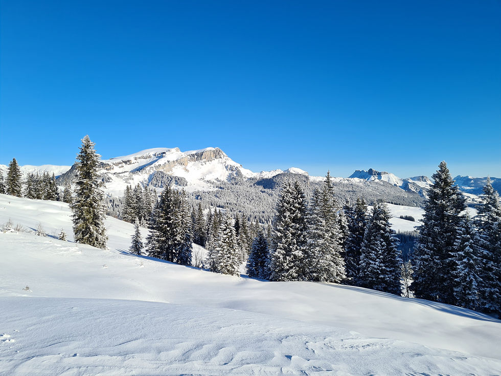 Winter Einführungstag