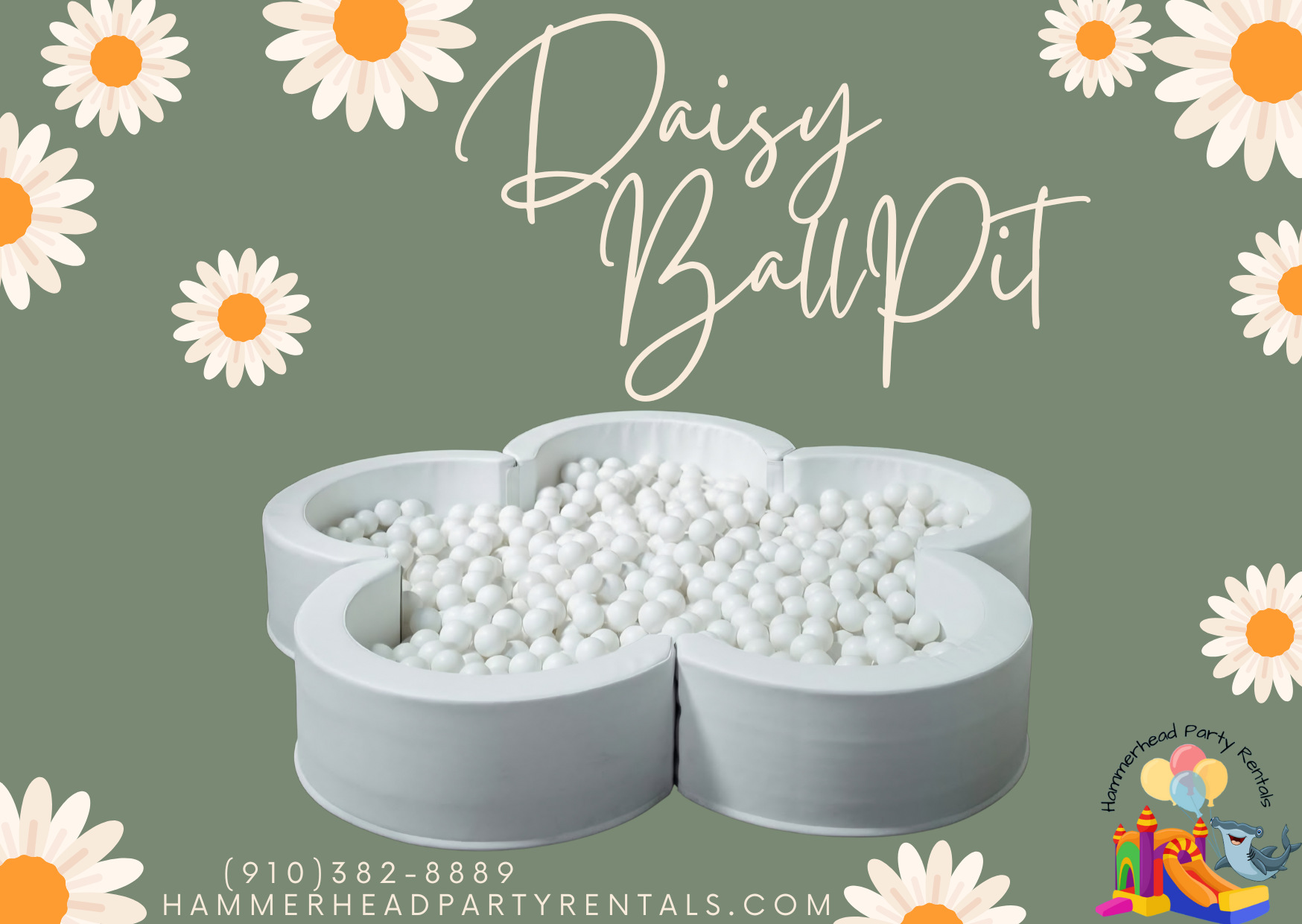 Daisy Ball Pit