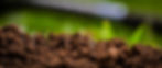 Signs of chemical elements often used in the measurements of soil fertility are stuck in t