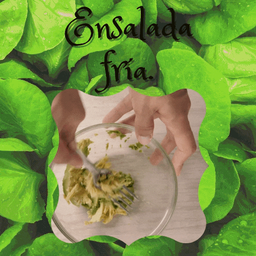Ensalada fría.