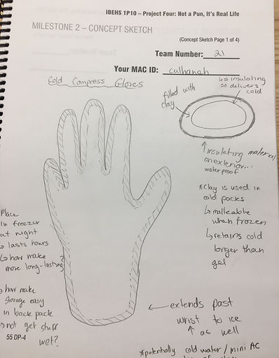 image3.jpeg