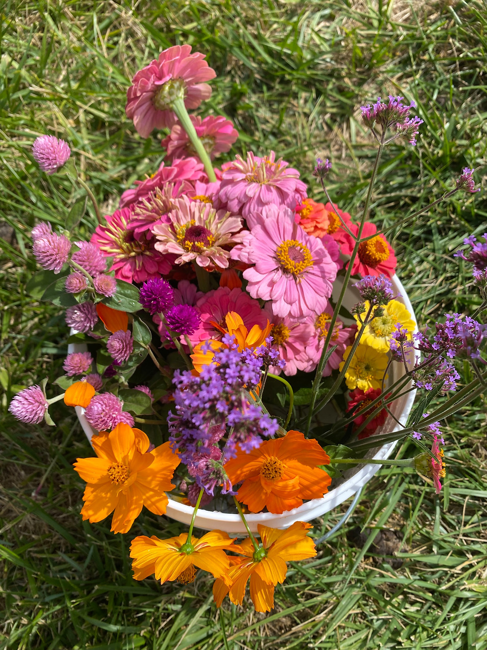 Thumbnail: Flowers by the bucket