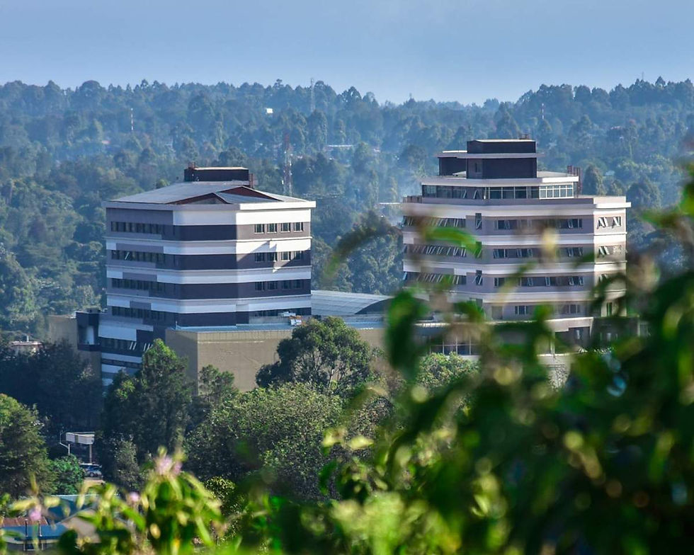 Rupa's Mall.jpg