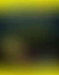 Cover of the book “Half-Life 2 Mods For Dummies” by Erik Guilfoyle, featuring the iconic yellow and black Dummies branding with a stylized 3D character firing a gravity gun at a yellow barrel marked with a red biohazard symbol. The tagline encourages readers to change game rules by designing custom levels, and the book is labeled as "A Reference for the Rest of Us!"