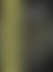 Dark illustrated cover featuring a black-armored knight holding a sword horizontally across their chest, surrounded by splashes of glowing green light against a black background. The word “S!CK” appears in bold white letters in the upper right, giving the image a gritty, fantasy-comic style.