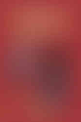 Cover of Diary of a Roblox Detective 5 - The Missing Time Capsule. The illustrated cover features two Roblox-style characters on a red checkered background. One character wears a blue jacket over a striped shirt and appears to be walking confidently. The second character, dressed in a black hoodie, jeans, and a face mask, has a mysterious stance. The title is displayed in bold white and yellow text, with "An Unofficial Roblox Book" at the top. The bottom of the cover features the Arrikin logo and Sparkwell publishing brand.