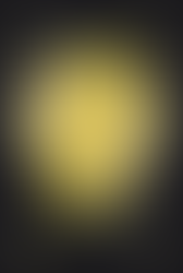 French book cover of 'The Story of Zelda' (L'Histoire de Zelda 1986-2000: Les origines d'une saga légendaire) Master Edition. The cover is a black triforce pattern with the 4 corners showcasing icons from the various games - a Mirror of Truth, Ocarina of Time, Boss Key and Shield. In the middle of the cover is a large gold reflective shield with the master sword inside.