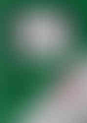 French book cover of 'The Game Boy Bible' (La Bible Game Boy) Zelda Edition. The cover is meant to look like a Game Boy but is Green, and has monochrome The Legend of Zelda: Link's Awakening on the 'screen' of the cover.