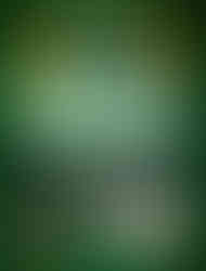 Cover of the book 1983 + 1984: Quando os Videogames Chegaram by Marcus Vinicius Garrett Chiado, featuring a green background with a subtle grid pattern and illustrations of vintage game consoles like the Atari 2600, Odyssey, Intellivision, and Splice Vision. The title translates to “1983 + 1984: When Video Games Arrived” in Portuguese, with inset images of the author's previous two books at the bottom labeled as the revised and expanded second edition.