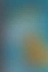 Cover of “Pokémon Detective Pikachu: Case Files” by Scholastic, featuring a realistic 3D Pikachu wearing a detective hat and holding a magnifying glass against a textured blue background, with the tagline “Notes, Facts, and Clues – Little Detective, Big Cases” and a “Poster Inside!” label.