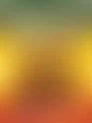 Cover of Street Fighter Origins: Sagat featuring Sagat roaring in fury, engulfed in fiery energy, with his muscular form and signature eye patch prominently displayed. Behind him, sepia-toned images of Street Fighter characters and spiritual figures create a mythic backdrop, highlighting Sagat’s legacy and inner turmoil.