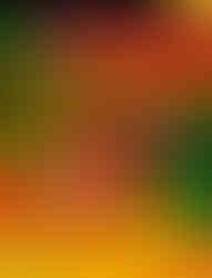 Cover of Sybex Unofficial Diddy Kong Racing Ultimate Strategy Guide by Tiberius Wolf, with a colorful, stylized background of rolling banana-yellow hills and palm leaves against a red-orange sky. The bold title dominates the center, with the tagline “Get ready for the race of your life!” and a top banner teasing “magic codes, secret tracks, and hidden worlds revealed!” The price is noted as $9.99 USD.