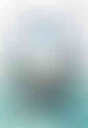 Cover of the Konami Official Guide for Genso Suikoden II, featuring an ensemble cast of hand-drawn anime-style characters with the main protagonist at the center, striking a dynamic pose. Surrounded by party members and warriors, the cover highlights the game’s epic scale and the tagline referencing the 108 Stars of Destiny, with branding for Konami and PlayStation at the top.