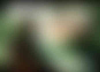 Cover of Tom Clancy’s Fifth Freedom: The Art of Splinter Cell. The image shows Sam Fisher, the main character from the Splinter Cell series, aiming a pistol while crouched over a defeated enemy in a tactical suit. Smoke rises in the background near the U.S. Capitol building, suggesting a scene of chaos. The title is written in bold white and red text, and the Ubisoft logo appears in the bottom right corner. French translation of the subtitle is also present.