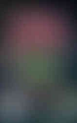 Cover of Os 40 Anos dos Primeiros Videogames no Brasil, featuring pixelated artwork of early video game consoles like the Atari 2600 and Odyssey, a green map of Brazil, and classic game icons like tanks, spaceships, and an 8-bit runner. The title is in bold red letters, and a tagline at the bottom reads “Álbum ilustrado com incríveis 247 cromos,” highlighting the collectible sticker-style format.