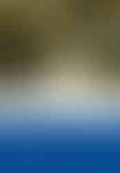 The German cover of Angela Schwartz's "Wollten Sie auch immer schon einmal pestverseuchte Kühe auf Ihre Gegner werfen?" - published alongside Lit Verlag Medien' Welten.  The bottom half is a blue and white banner, with basic black text as the font. While the top half is a yellowed sepia-tone screenshot of an RTS with a giant cow floating through the air.