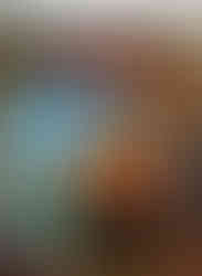 Cover of the Official Game Guide for Banjo-Kazooie: Nuts & Bolts on Xbox 360, featuring Banjo front and center holding a large wrench, with Kazooie peeking out from his backpack, smiling excitedly. They stand in a mechanical workshop with tools hanging on the wall. Outside the archway is a colorful landscape with whimsical hills and a strange character holding blueprints. The logo “Banjo-Kazooie: Nuts & Bolts” is bold and playful at the top. Logos for Xbox 360, Prima Games, Rare, Microsoft Game Studios, and ESRB are displayed at the corners.