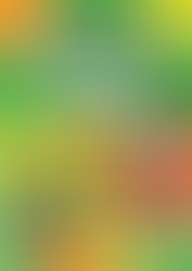 The cover features a bright green Minecraft-themed layout with a structured grid of colorful square panels. At the top are the Mojang Studios logo, the iconic “MINECRAFT” title in its blocky pixel font, and a small pixel-art command block icon. Centered prominently is bold white text with a long shadow reading “COMPUTING & CODING OFFICIAL WORKBOOK.” The grid includes programming-related elements such as symbols, command block visuals, and stylized text snippets, including a visible command “/summon lightning_bolt” displayed on a sign attached to a command block. In the foreground stands a zombified piglin holding a golden sword, rendered in Minecraft’s distinctive blocky style. The lower section also includes additional command block icons and the label “AGES 7–11.” The overall design blends coding concepts with recognizable Minecraft imagery, creating an engaging educational cover focused on programming basics.