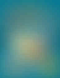 Cover of Pokémon Seek and Find: Johto, featuring Chikorita, Cyndaquil, and Totodile in the center with various Johto-region Pokémon like Mareep, Pichu, Marill, Bellossom, and Murkrow surrounding them. The background is teal with a circular frame highlighting the main trio.