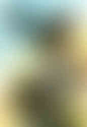 Cover of the game guide Z: The Official Guide by Peter Schmitz and Christian Schmidt. The artwork features a stylized, cartoonish robot named CDR. ZOD, wearing a large black hat and sunglasses, with a cigar in its mouth. It is firing a large weapon, with bullet casings flying and explosions in the background. The robot's chest displays an American flag and its name badge. At the bottom, German text reads: "Mit allen Missionen, Cheats und Karten!" ("With all missions, cheats, and maps!"). The Webweiser Inside and X Games logos are also present.