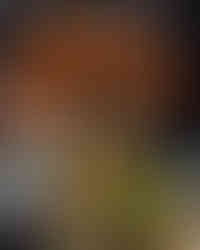 Cover of the official strategy guide for Blade Runner (PC game), published by BradyGames. The artwork features the game's protagonist, Ray McCoy, holding a pistol and dressed in a trench coat, standing in a futuristic cityscape illuminated by neon lights. A flying police vehicle (spinner) is visible in the background. Text highlights include “Complete Step-by-Step Strategy,” and logos for BradyGames Strategy Guides and Westwood Studios appear at the bottom.