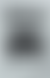 The book cover for The Complete History of Computer and Video Games. The background is a glossy silver, with simple black sans-serif text in the foreground making up the upper third; and a giant Space Invader alien below it. In the bottom right corner is the "Computer and Video Games" logo.