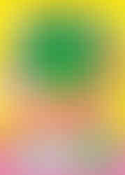 The cover of the Suika Game (スイカゲーム) Sticker Book, featuring a large, smiling watermelon character at the center, surrounded by various cute fruit characters like a peach, pineapple, apple, and grapes, all with expressive faces. The background is bright yellow with colorful text in Japanese, including "シールブック" ("Sticker Book") in bold red and white letters. The bottom section highlights "365+18" stickers, indicating a collection of over a year's worth of reusable stickers, with additional playful fruit designs decorating the corners.