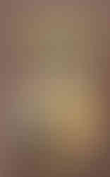 Cover of Diary of a Roblox Bacon Hair Boy - Book 6: Wild West, an unofficial Roblox book by Arrikin. The cover features a hand-drawn illustration of a distressed Roblox character with brown hair, wearing a black jacket and blue shirt, behind jail bars. The background depicts a simple Wild West-style jail cell with a barred window and wooden bench. The title is in bold yellow and white text on a brown background, with a torn-paper effect for the book subtitle. The Sparkwell publisher logo is at the bottom.