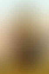 Cover of the German strategy guide for Age of Empires, titled Age of Empires: Strategie Handbuch. The artwork features three ancient figures representing different civilizations: a Mesopotamian, a Greek hoplite with a sword and shield depicting a white horse, and an Egyptian pharaoh with a scepter. Behind them are pyramids, ships, and buildings symbolizing various cultures. The X Games and Webweiser Inside logos are shown at the bottom corners, and the author's name, Gunther Bigl, is printed near the bottom center.