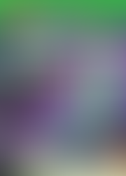 The cover features a vibrant LEGO Minecraft design with a bright green header displaying the LEGO logo and the “MINECRAFT” title in bold, blocky gray lettering. The main title, “THE END ADVENTURE,” appears in large white pixel-style text against a purple gradient background inspired by the End dimension. A green banner reads “SEEK-AND-FIND STICKER ACTIVITY BOOK,” accompanied by small tool icons. The scene includes a dynamic mix of LEGO elements: a black Ender Dragon flying on the left, floating End islands in the background, and action scenes with small minifigures. In the foreground, a prominent Ender Knight minifigure holds a bright blue sword, with an additional image of the same figure displayed in a green frame labeled “INCLUDES ENDER KNIGHT MINIFIGURE.” Additional details include a “6+” age label, a “7 pcs” note, and the Mojang Studios logo in the bottom right corner, reinforcing it as an official product.