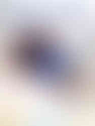 Cover of Hoggin’ Out! (Sonic) Art of Gigi Dutreix – Volume 1. The artwork features dynamic, stylized illustrations of Sonic the Hedgehog and Shadow the Hedgehog running forward in bold action poses. Blue and red speed lines trail behind them, adding motion and energy. The background is a soft gradient with sketch-like overlays of other Sonic characters. The title is written in large, playful blue letters at the top, with the subtitle and volume number in smaller print.