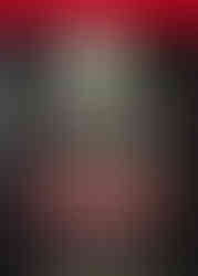 Cover of the Silent Hill 4: The Room Official Guide First Edition, featuring a haunting image of a chained and padlocked apartment door with a ghostly face looming above it. The dark, grungy aesthetic is emphasized by cracked textures, while the title and a brief story synopsis are presented in bold white and red text.
