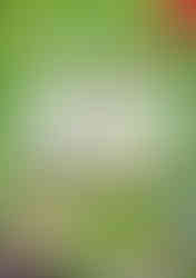 Cover of Pikmin 3 Deluxe Official Guide, featuring a vibrant outdoor scene with three Pikmin—blue, yellow, and red—standing on a log, gazing curiously at their surroundings. A small red fruit is nearby, and a flying pink Pikmin hovers in the background holding a leaf. The lush green setting is filled with oversized leaves, flowers, and tiny creatures, emphasizing the miniature scale of the Pikmin world. In the bottom left, three space explorers in helmets—Alph, Brittany, and Charlie—stand ready for adventure. The title Pikmin 3 Deluxe appears in large, colorful, flower-filled text at the top, with additional Japanese text below describing the contents of the strategy guide. The Nintendo Switch and Dengeki logos appear in the top corners.