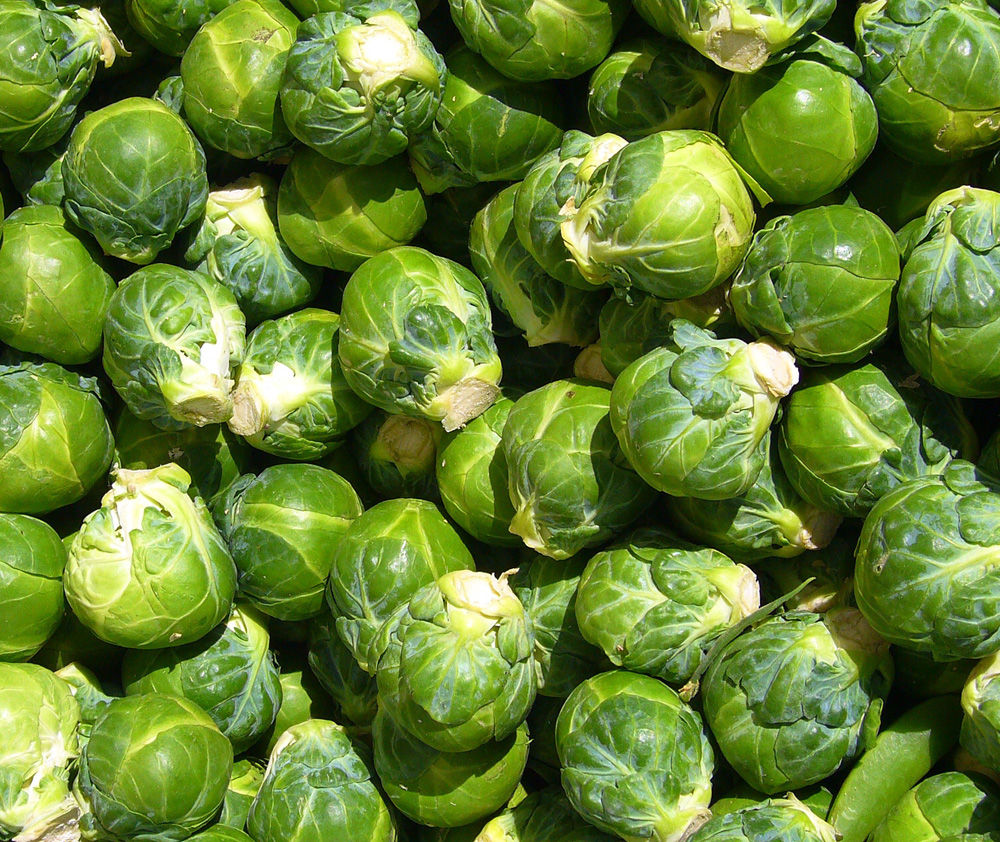 Sprouts English 500g