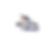 borracha logo 2.png