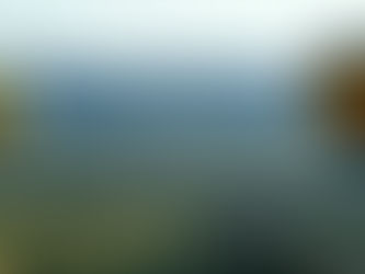 Give Back by Booking a Fabulous Experience