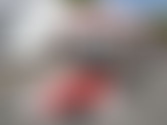 Honda STEAM Connections Tour, Hinchcliffe Rev Up Alabama Crowd